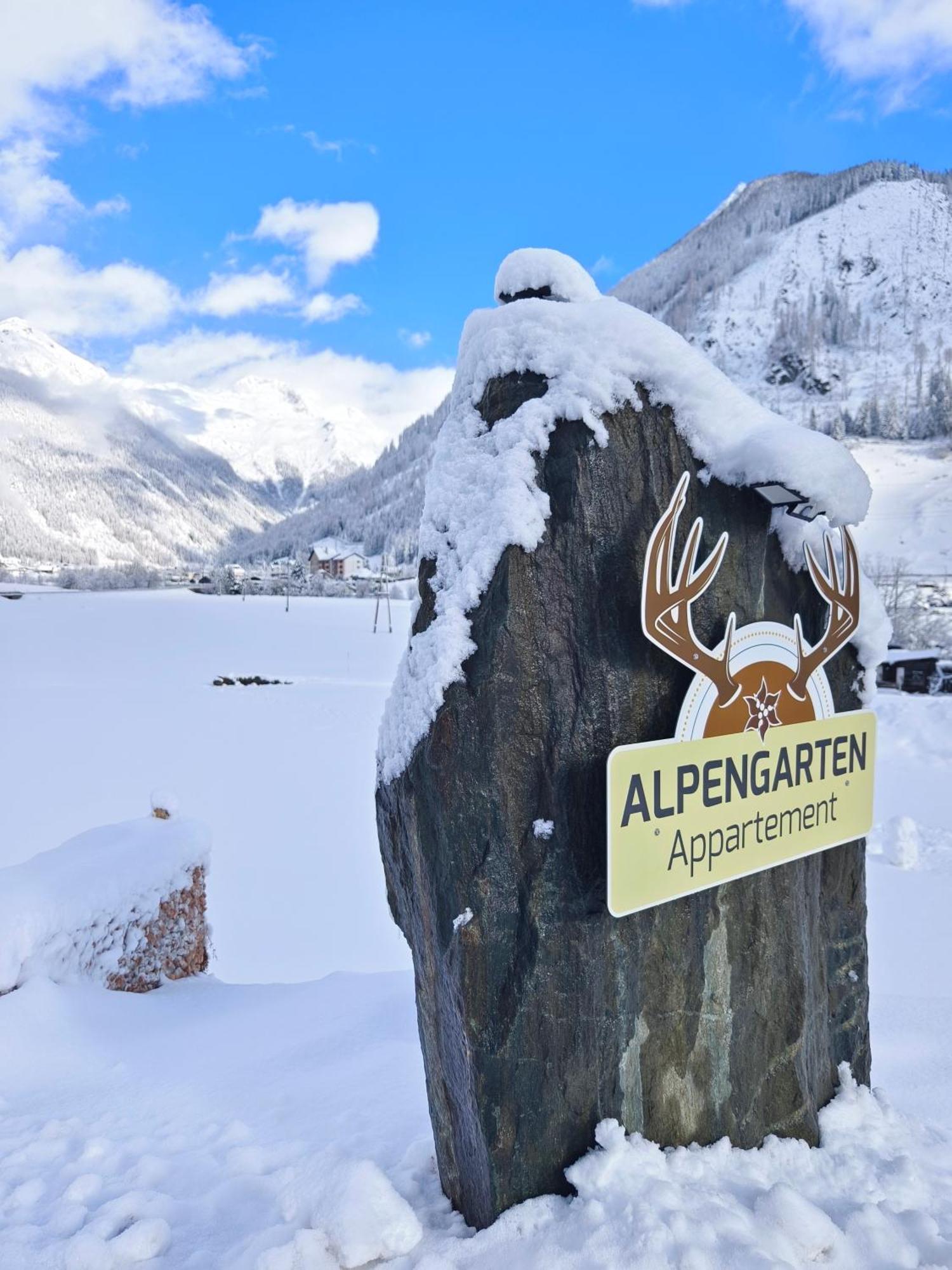 Appartements Alpengarten Mallnitz Exteriér fotografie